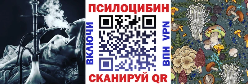 Псилоцибиновые грибы Psilocybe  Нижняя Тура 